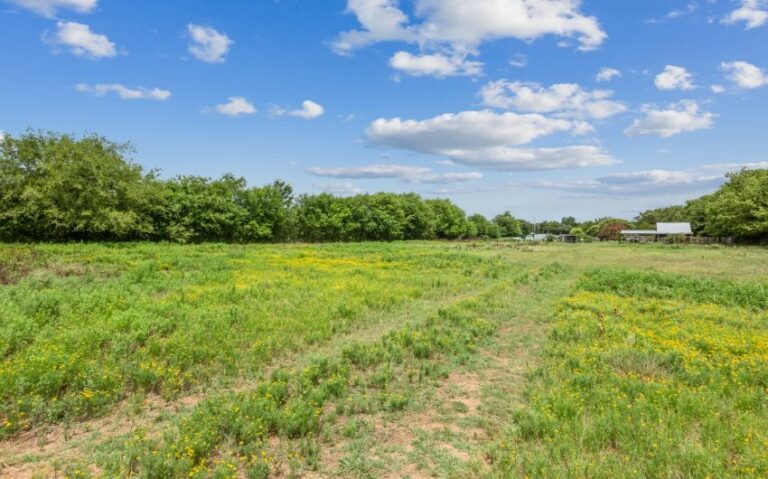 14 1000 E Jefferson 7 mls 850x530 1 768x479