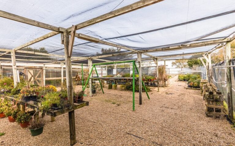 14 BN4A5258 850x530 1 768x479