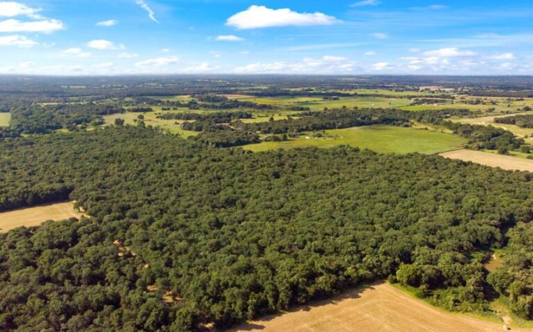 14 HCR 1307 13 mls 850x530 1 768x479