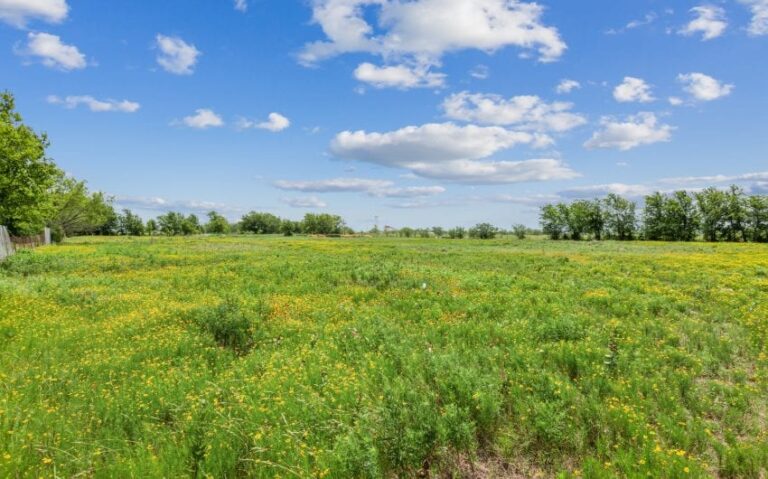 15 1000 E Jefferson 8 mls 850x530 1 768x479