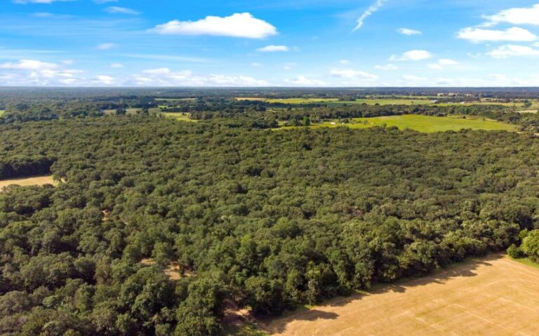 15 HCR 1307 14 mls 850x530 1 768x479