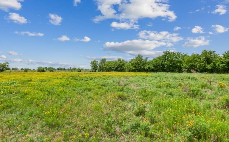 16 1000 E Jefferson 9 mls 1 850x530 1 768x479