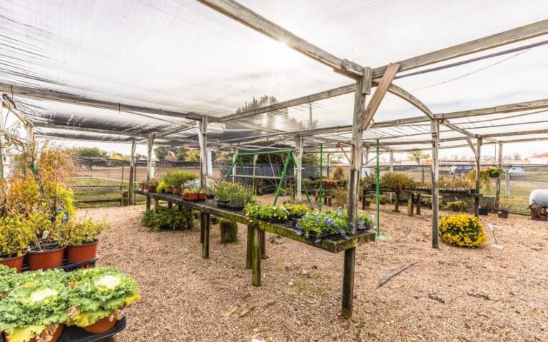 16 BN4A5268 850x530 1 768x479