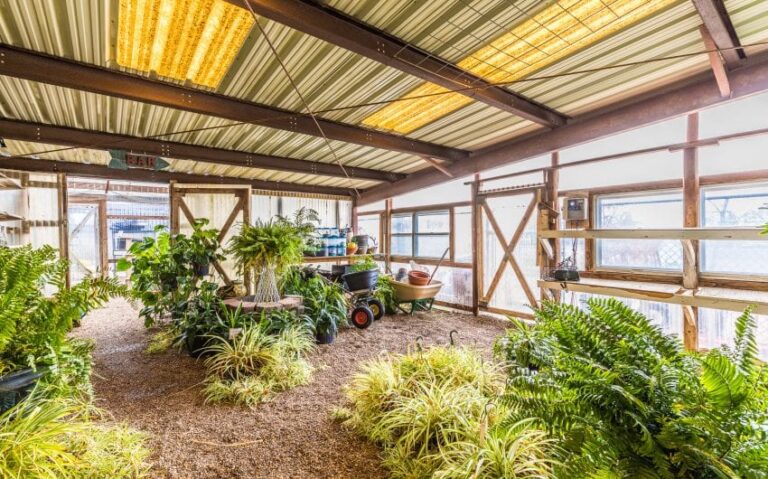 17 BN4A5284 850x530 1 768x479