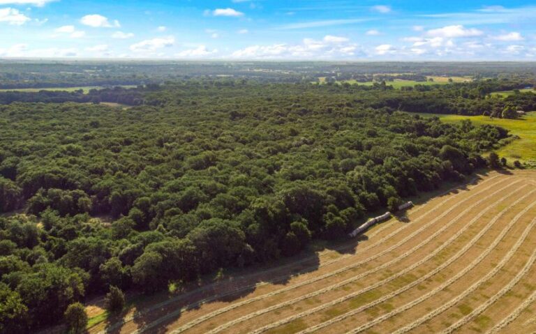 17 HCR 1307 16 mls 850x530 1 768x479