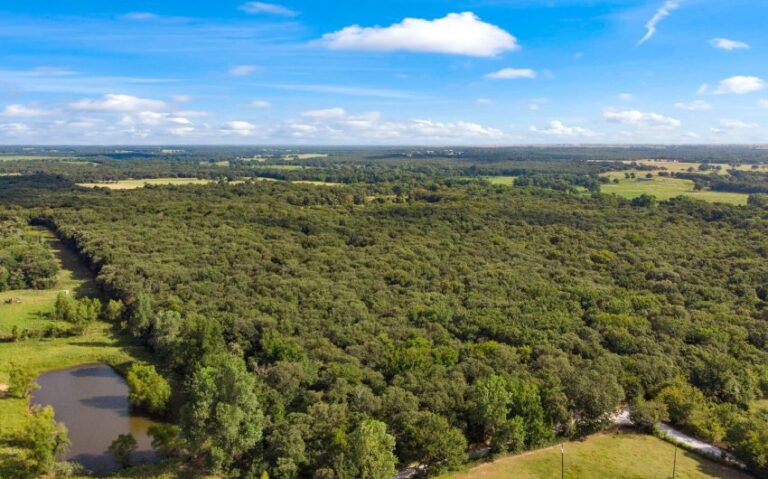 18 HCR 1307 17 mls 850x530 1 768x479