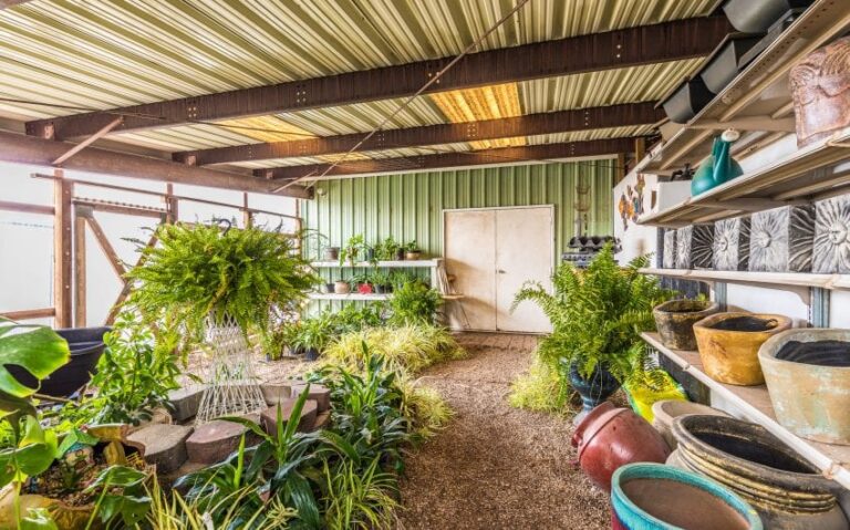 19 BN4A5303 850x530 1 768x479