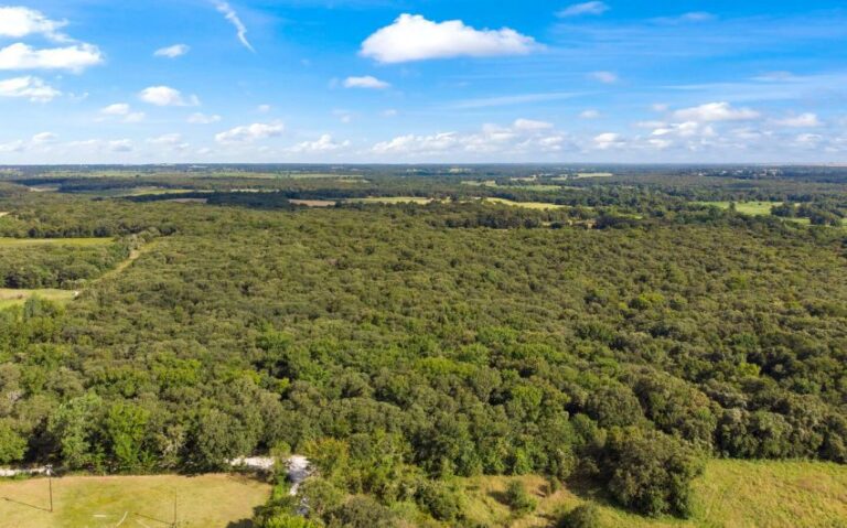 19 HCR 1307 18 mls 850x530 1 768x479