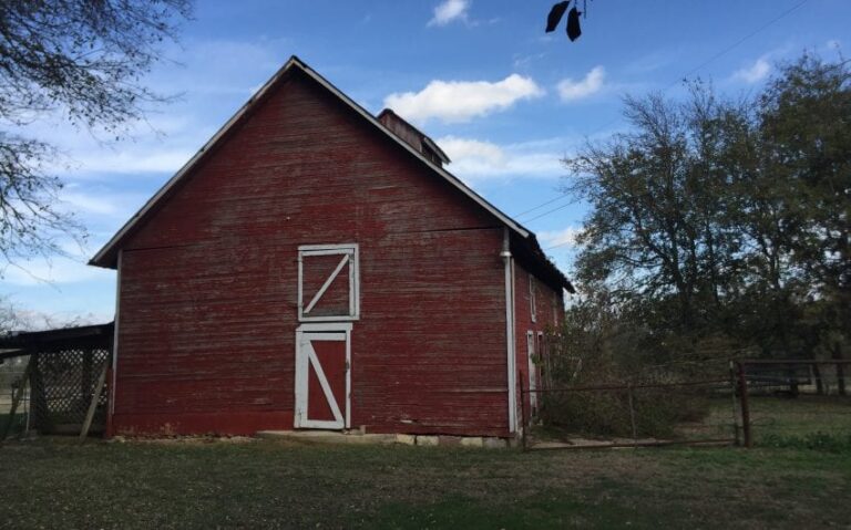 1B713C26 E1C8 487A A872 275BF56F4B10 850x530 1 768x479