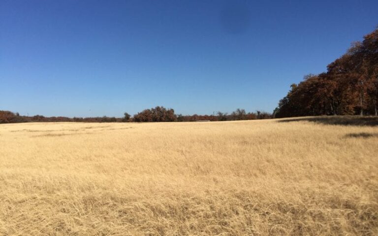 1C34C569 448B 460A 95C7 A209845DB78F 850x530 1 768x479