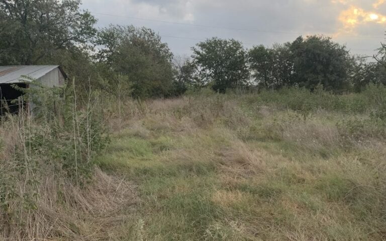 2128 HCR 2124 LP Whitney PHOTO 1 850x530 1 768x479