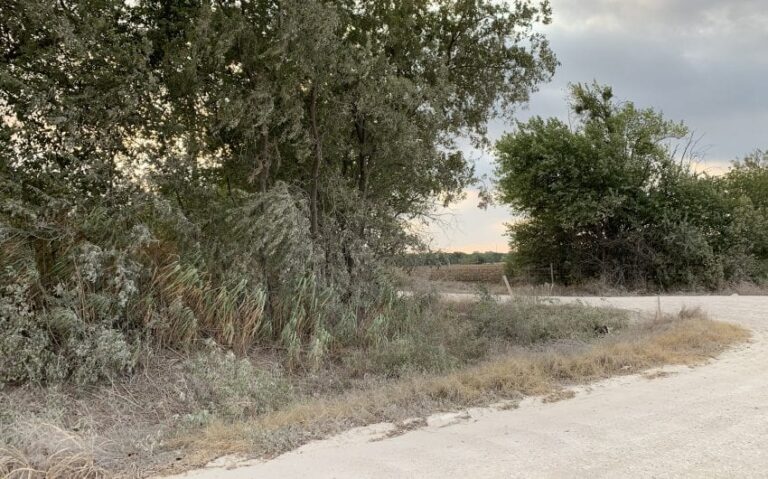 2128 HCR 2124 LP Whitney PHOTO 5 850x530 1 768x479