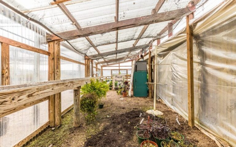 21 BN4A5320 850x530 1 768x479