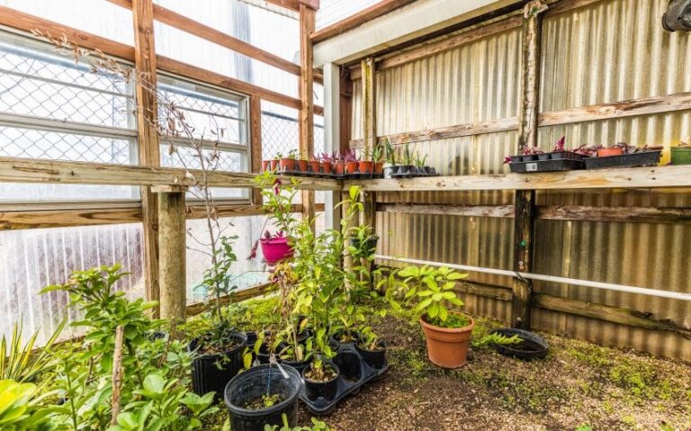 22 BN4A5324 850x530 1 768x479