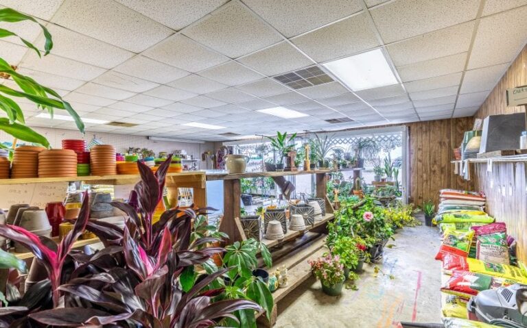 24 BN4A5332HDR 850x530 1 768x479