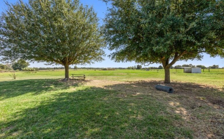 26 220 HCR 1363 26 mls 850x530 1 768x479