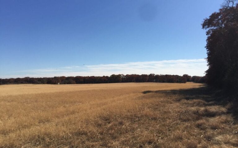 305E9CE6 A942 4623 8979 B625E0BE41EB 850x530 1 768x479