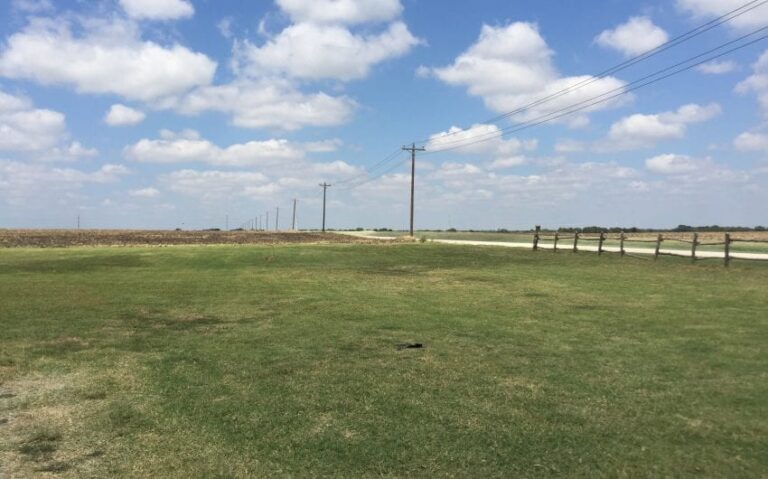 311 HCR 3110 N outside yard photo looking north 850x530 1 768x479