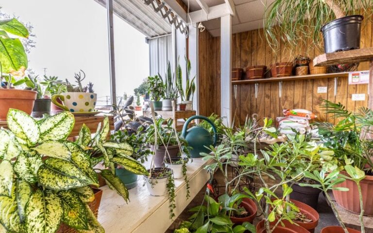 31 BN4A5404 850x530 1 768x479