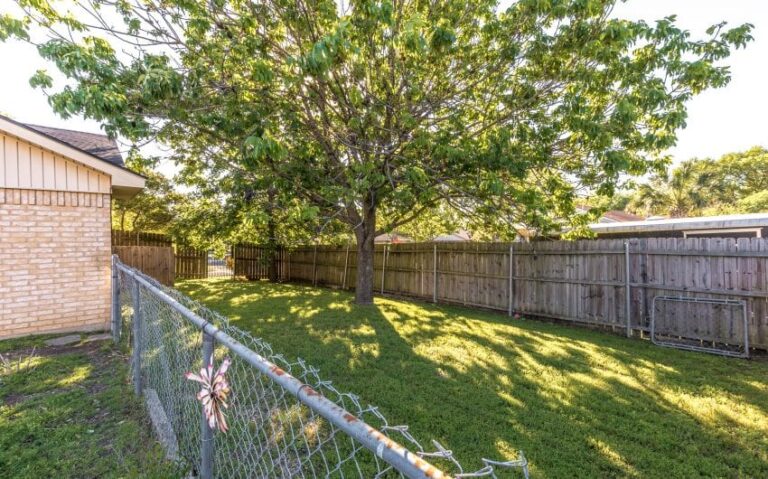 31 BN4A5756 850x530 1 768x479