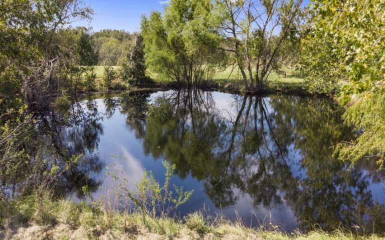 34 181 PR 125 drone 5 mls 850x530 1 768x479