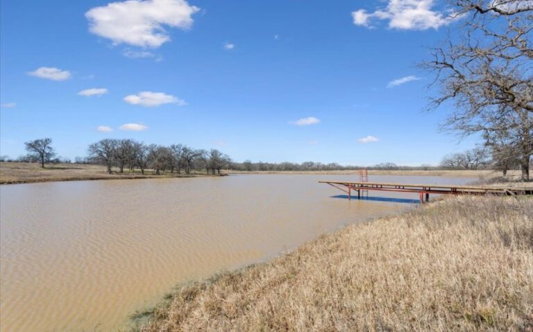 44 1001 FM 3370 44 Copy 850x530 1 768x479