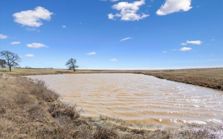 46 1001 FM 3370 45 Copy 850x530 1 768x479