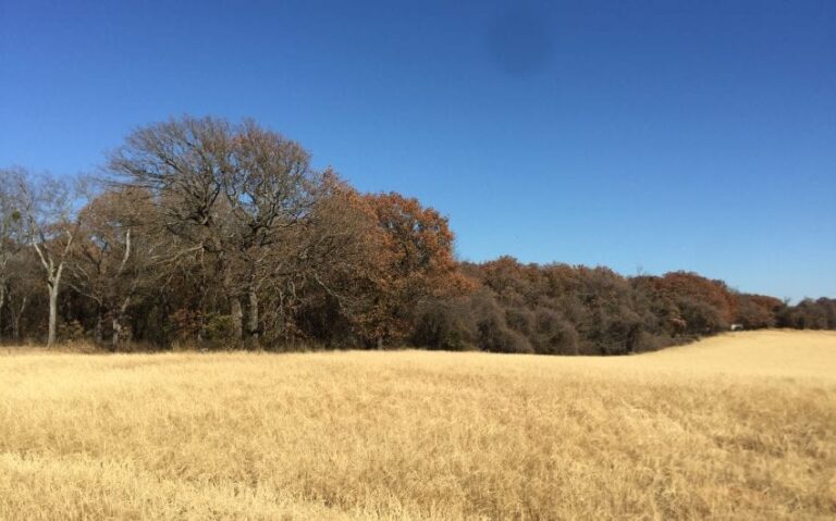 473E96A4 22F3 48E6 A0CA 1B400DD39D9F 850x530 1 768x479