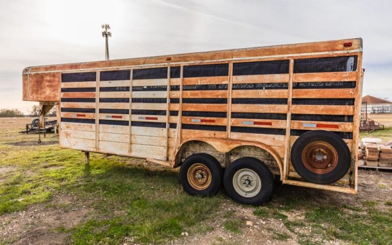 50 BN4A5062 850x530 1 768x479