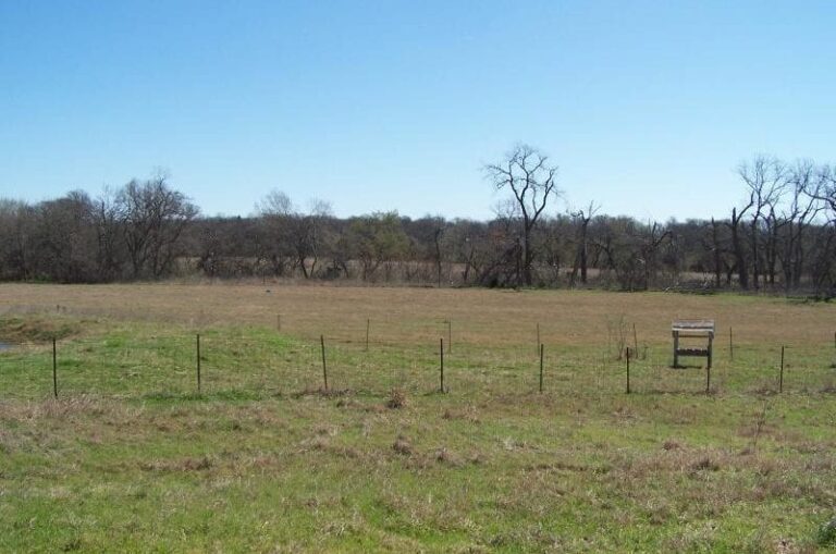 612 1 2016 03 11412926 800x530 1 768x509