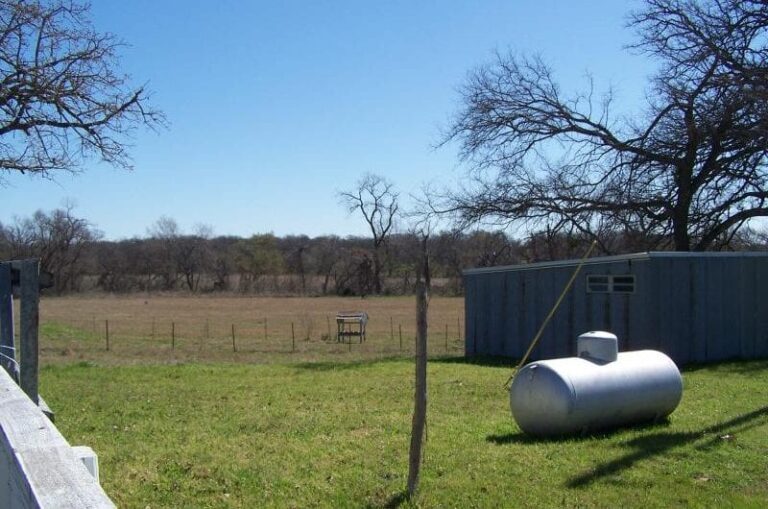 612 1 2016 03 11845531 800x530 1 768x509