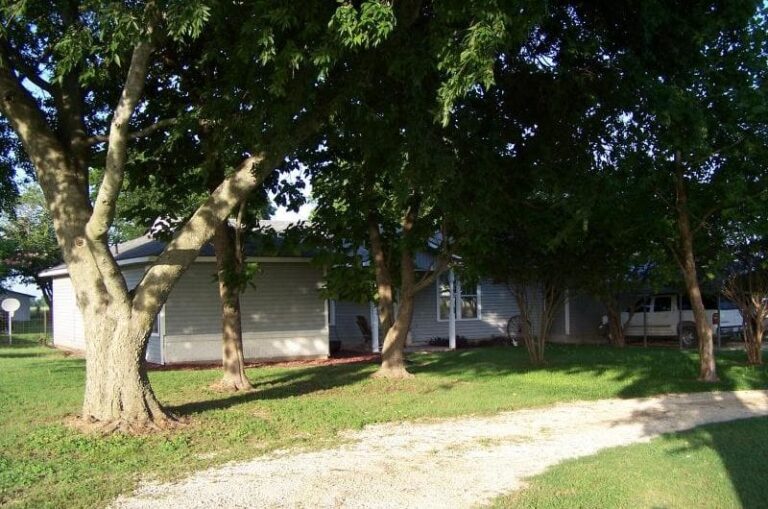 629 1 2016 06 16768530 800x530 1 768x509