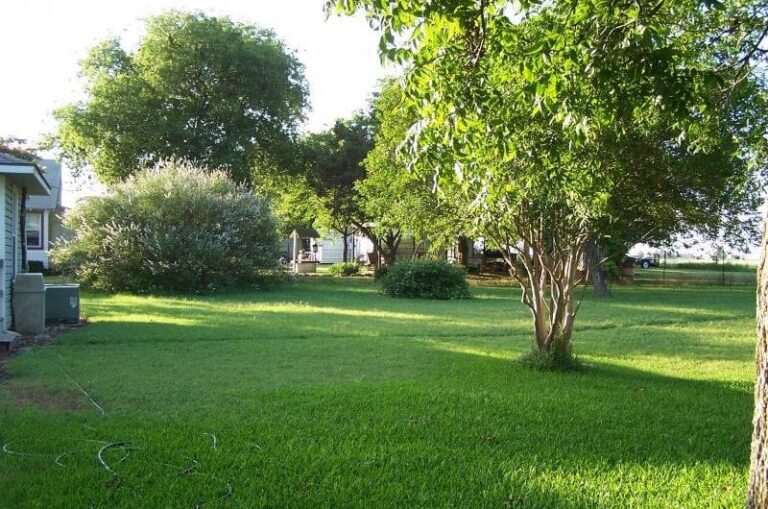 629 1 2016 06 16819634 800x530 1 768x509