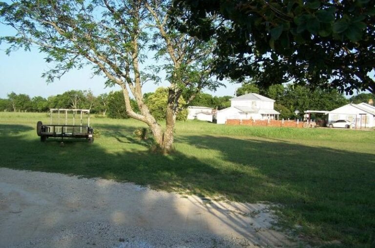 629 1 2016 06 16869587 800x530 1 768x509