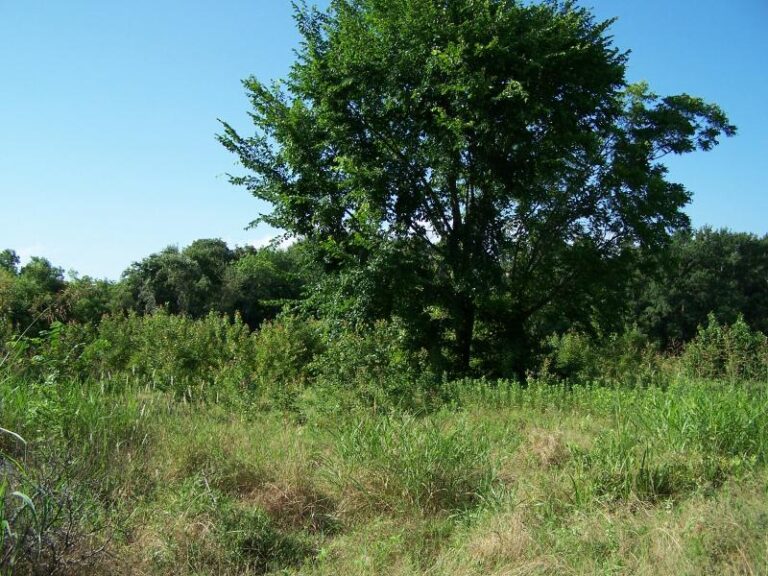 633 1 2016 06 20418856 768x576