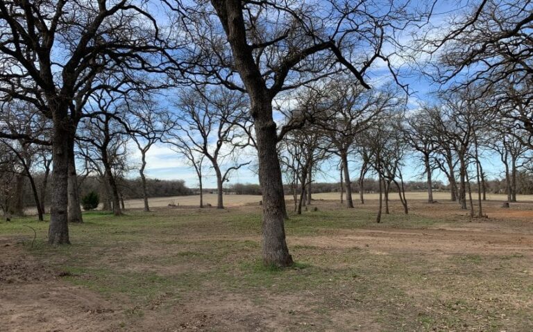 6C874A21 52AB 425F AC2C 9E8514A2BA46 850x530 1 768x479