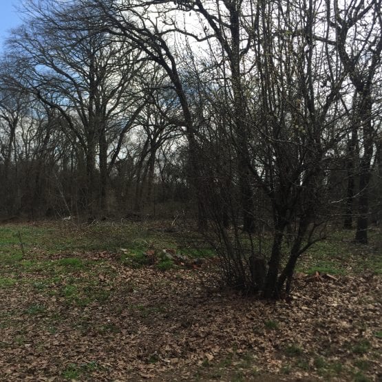 6C94DB32 D1FB 4D20 9EFD 0DCFE313E7EE 555x555 1