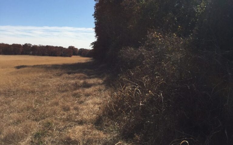 74725FCC E57C 4C6E AF17 37D1AC408B3D e1543541158293 850x530 1 768x479