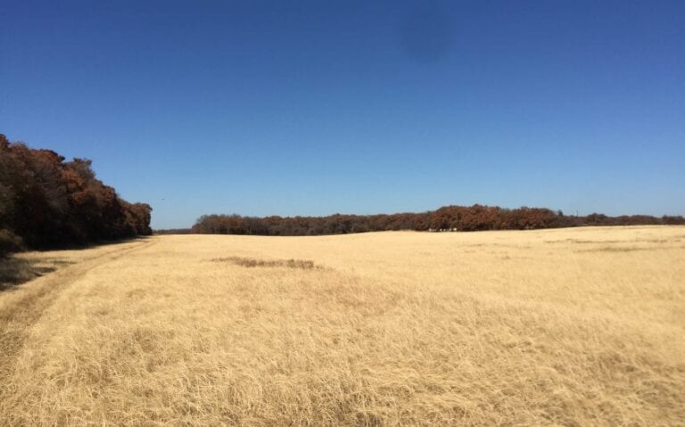 8E73390B 750F 419D 9310 13374F87D220 850x530 1 768x479