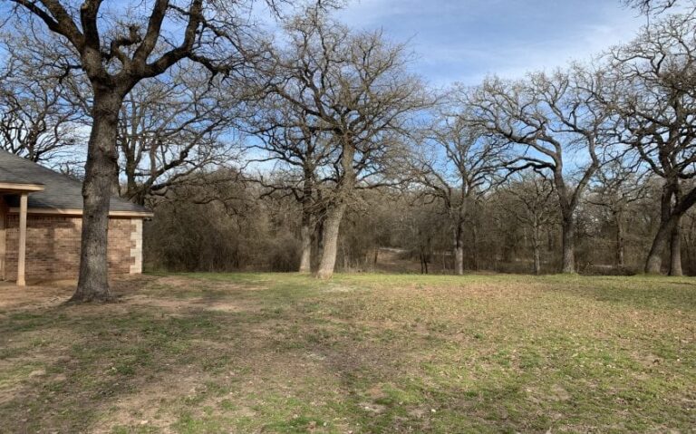 905A7E13 DEF9 4AEC 89DB 59E714ED93D8 850x530 1 768x479