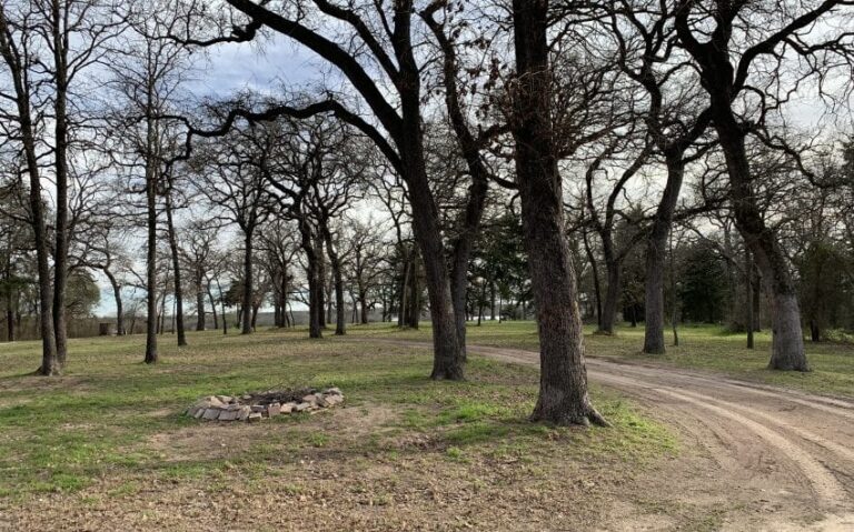 9453A4D6 E57C 4B7A 8396 BA11B006EEFE 850x530 1 768x479