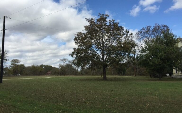 A988FE72 5043 40B7 B3B5 DE8DAFDB510E 850x530 1 768x479