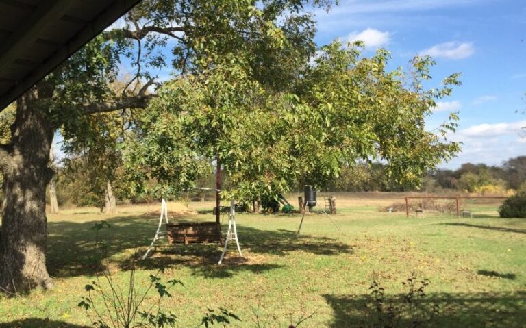 C381044A CDDB 45D9 AAC3 B8543ECCE7C0 850x530 1 768x479