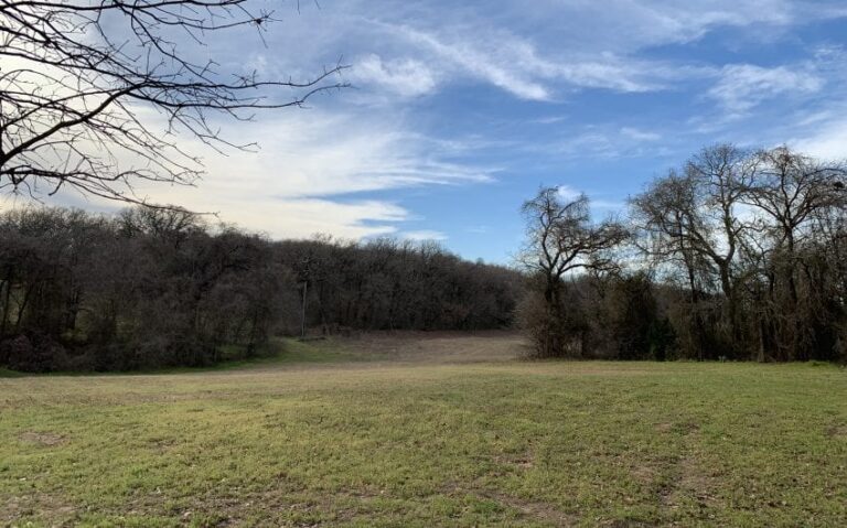 CF9DD135 4F7E 4DBC B84E AE9BF682F311 850x530 1 768x479