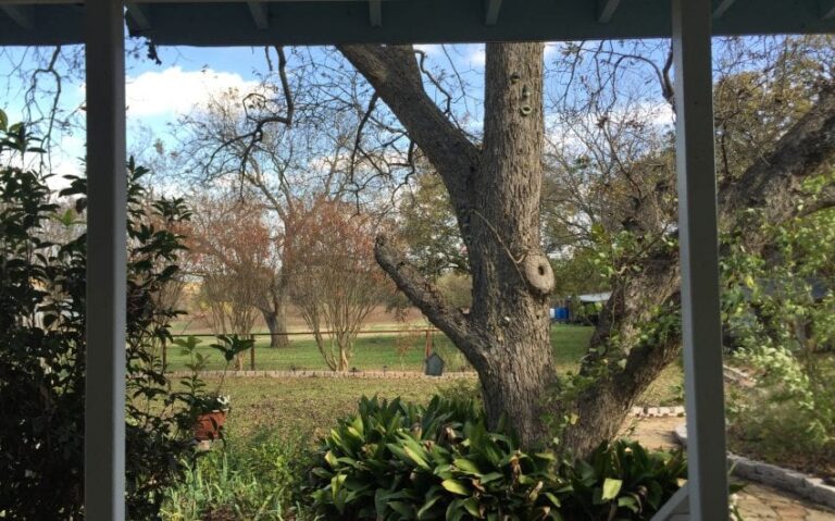 D7D75137 BC67 465D 992A 1E677905A80F 850x530 1 768x479