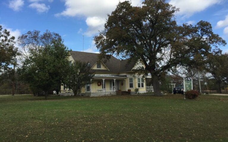 D81030EC 95A0 4182 A3B1 08814924CF49 850x530 1 768x479