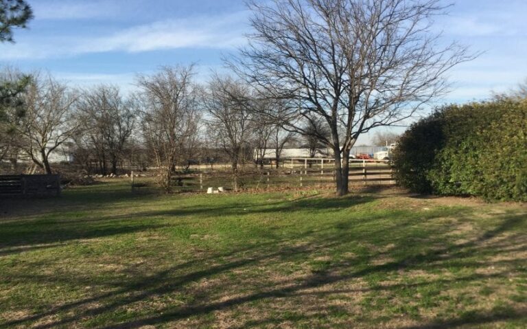 DED8B67E 1D6A 4ABB B328 52626801F35D 850x530 1 768x479