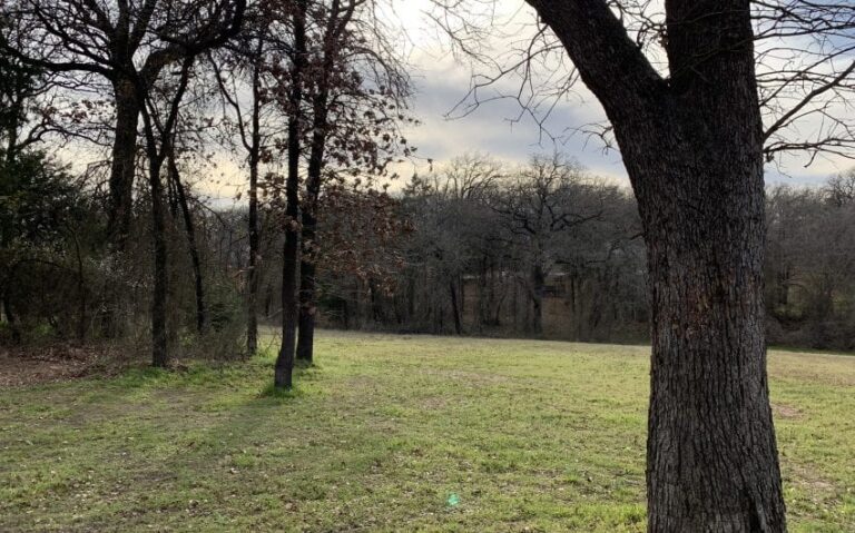 E30ECFE8 2356 483F 9719 D99E12D60808 850x530 1 768x479