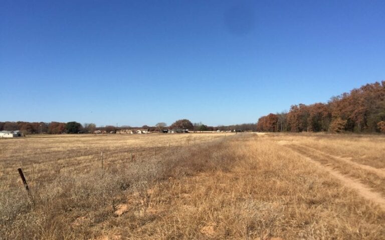 EAC20B22 E1E5 4290 8B4C F6D5C8FF117B 850x530 1 768x479