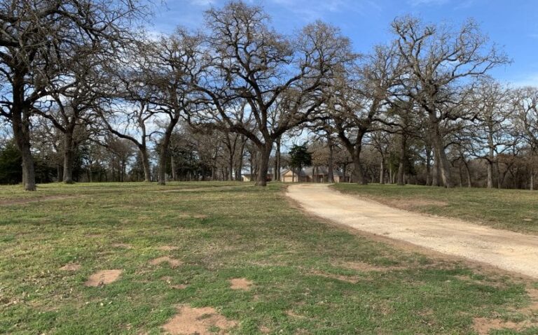 EB1CF196 AB35 42B8 895D 07485753E3C1 850x530 1 768x479